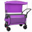 Chariot utilitaire pliable avec auvent amovible, chariot d'extérieur robuste d'une capacité de 480 lb-124413788