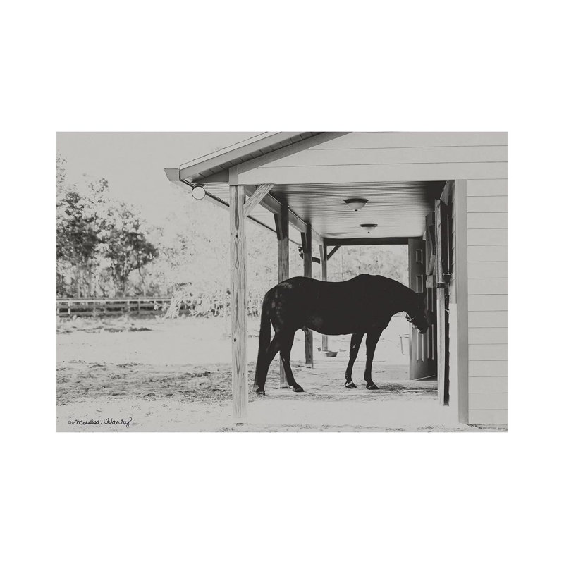 Horse at Home 1 Piece Wrapped Canvas Wall Art, 101.6 cm H x 66.04 cm W x 1.91 cm D