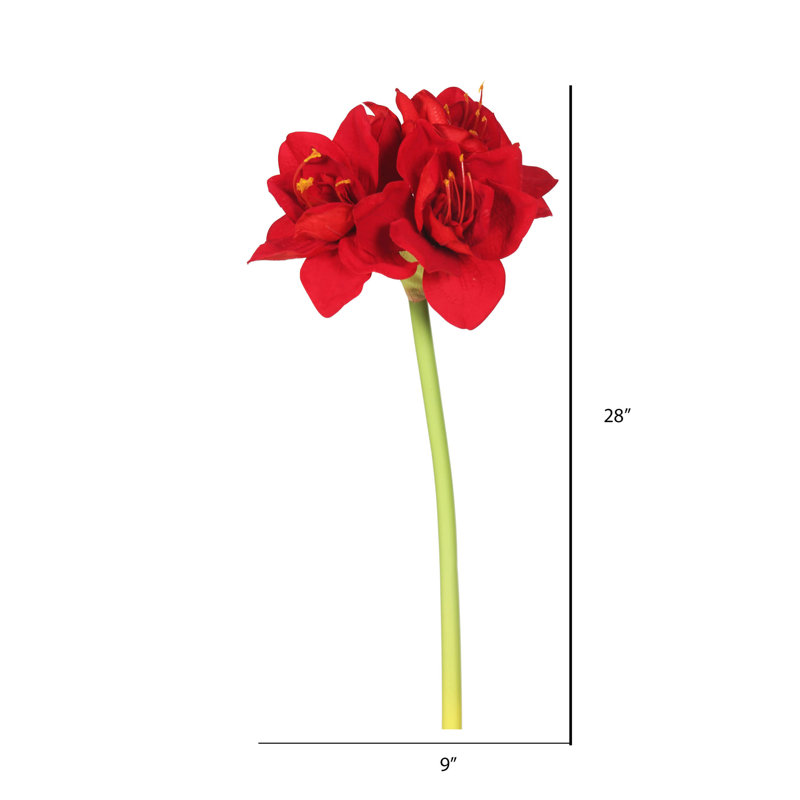 Tige de amaryllis simple velours
