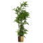 150cm Faux Plant in Metal Planter-1516446486