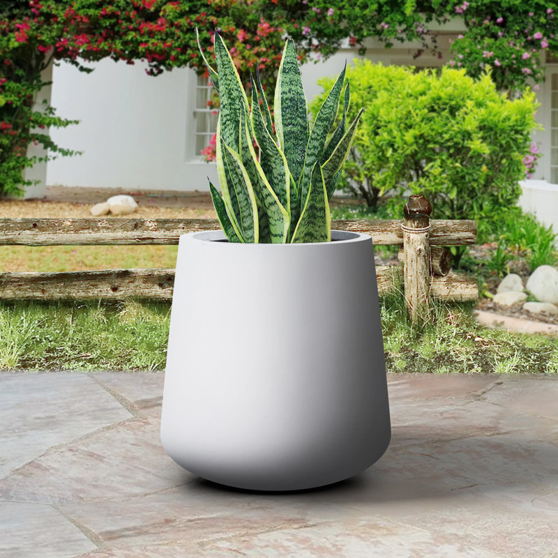 Pot à fleurs en béton Laihla, Gris clair, H 12,2 po x l 11,8 po x P 11,8 po