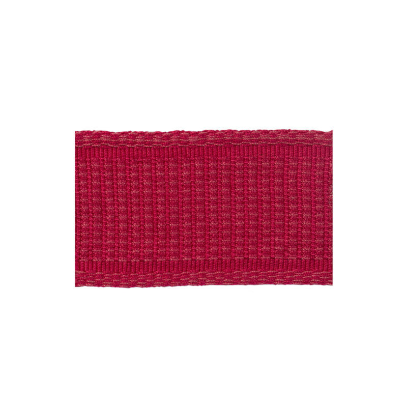 Le Coeur Passementerie Band Performance Fabric, Raspberry