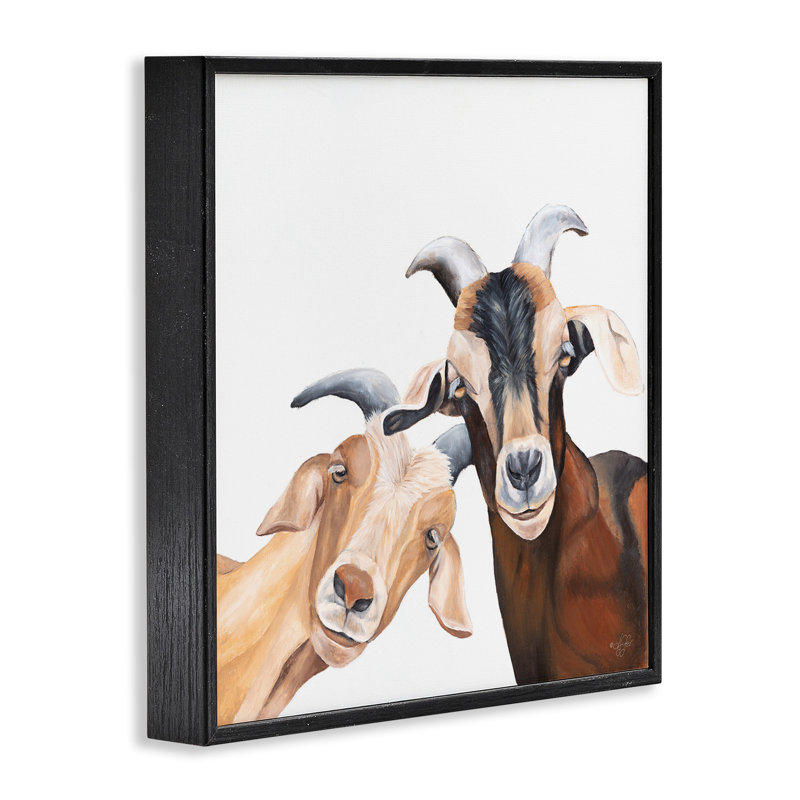 «Happy Goat», souriant, giclée par Diane Fifer, H 12 po x l 12 po, Giclée encadrée noir minuit