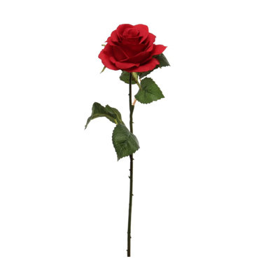 20" Open Rose Stem - 12 Pack