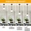 Luminaire suspendu moderne en cristal à 1 lumière à hauteur réglable-1990677938
