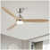 52 In.Intergrated LED Ceiling Fan Lighting With Remote Control