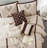 Vernice 7 Piece Geometric Comforter Set-70904883-99540258