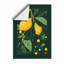 Lemons and Foliage Botanical - Framed Print-1897396459-1897396461