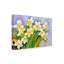 Deetra «Daffodil Cluster», reproduction de peinture acrylique sur toile tendue-27488146