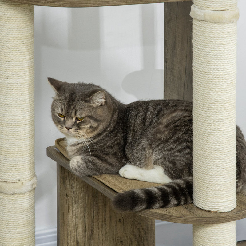 Arbre à chat 65 po de haut pour grimper avec poteaux à griffer