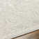 Oriental Indoor / Outdoor Rug