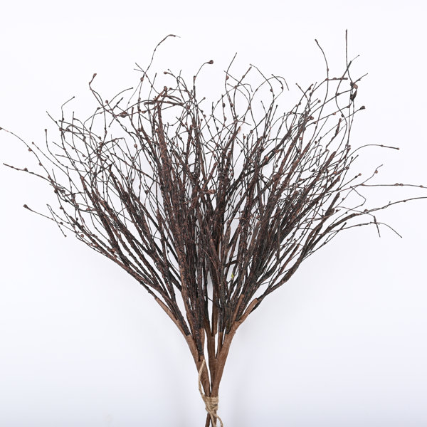 30 Birch Twigs Decorative Branches Primrue