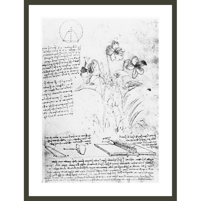Étude botanique fol. «14r from the Codex Atlanticus» par Leonardo da Vinci, impression giclée sur cadre