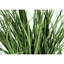 Pot 22,5 po Faux Grass Plant en polypropylène (PP)