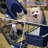Foldable Pet Stroller, 3 Wheels Folding Carrier Jogger Stroller for Dogs Cats with Canopy and Basket-101628881