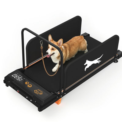 Tapis roulant pour petits chiens, édition 2026 - Entraînement des chiots avec moteur silencieux, capacité de 100 kg, écran pour le suivi de l'entraînement, bande de course de 90 x 37,5 cm, appareil adaptable pour chiens de taille moyenne, idéal pour la remise en forme à l'intérieur.