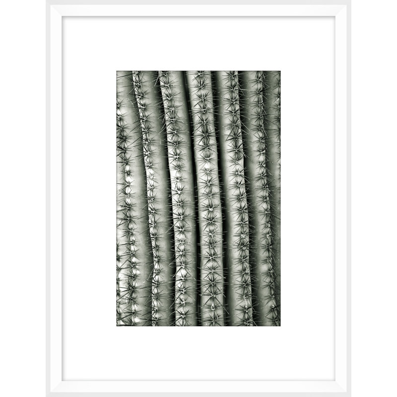 Silver Spike Small 5 Print by Christopher Kennedy