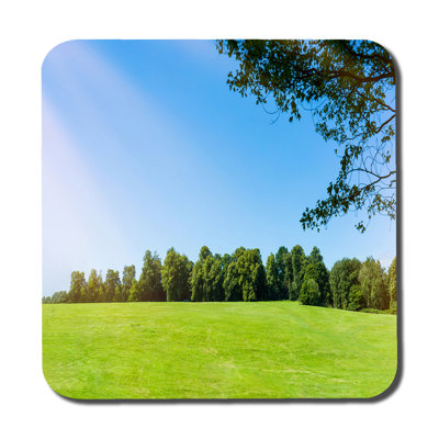 Duhl Square 6 Piece Coaster Set