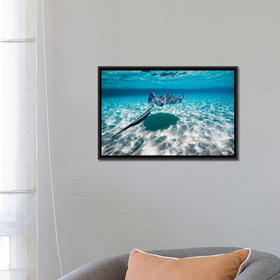 " Southern Stingrays On The Sandbar " by Jennifer Idol