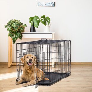 Les 4 meilleures cages pour chien [Guide 2023] - métal, avion