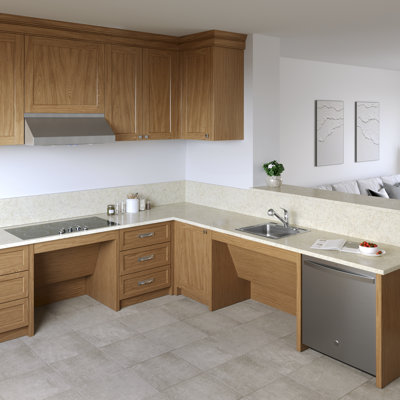 Robinet de cuisine Proflo
