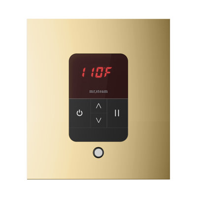 iTempo Square Steam Shower Control and Steamhead