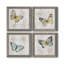 Carte postale papillon I - ensemble de 4 reproductions d'art sur toile-1562484622-1562484626-1562566383