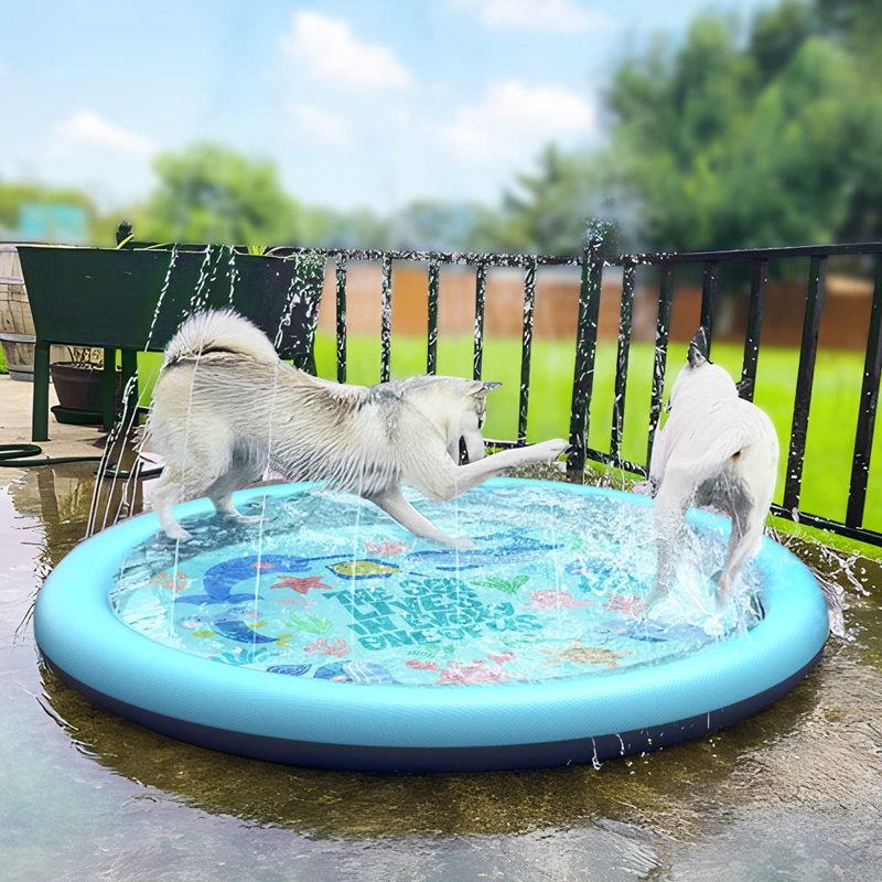 Splash Pad for Dogs & Kids