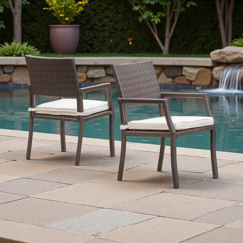 Chaise de salle à manger (ensemble de 2)