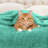 Superior Solid Polyester Reversible All-Season Fleece Throws Blanket-904113371-845056056