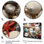 " Seashell Collage "-1475875997-1475875996