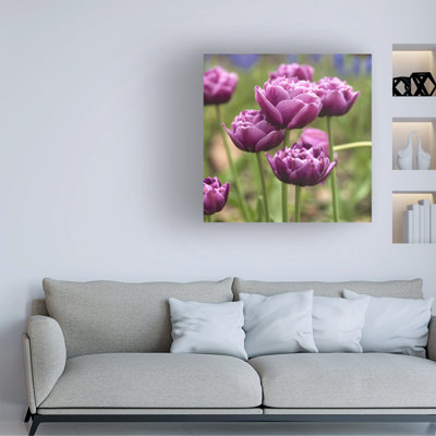 Wrapped Canvas Wall Art - Alan Blaustein 'Hokkaido 30' Wall Art for Living Room, Bedroom, or Office Décor  - 18x18