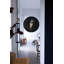 Anna Wilczopolska - Jasyk Animals Wall Decal