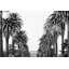 «Hollywood In Sight» par Morgan Hartley - reproduction de photo sur toile tendue-67414966