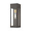 Lanterne murale d'extérieur 15 po à 1 ampoule Pippo-1171857937