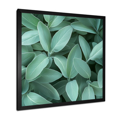 Feuilles de sauge - feuilles, art mural