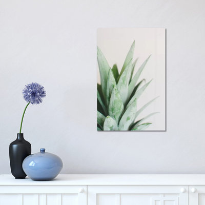 Pineapple Top I 1 Piece Wrapped Canvas Wall Art