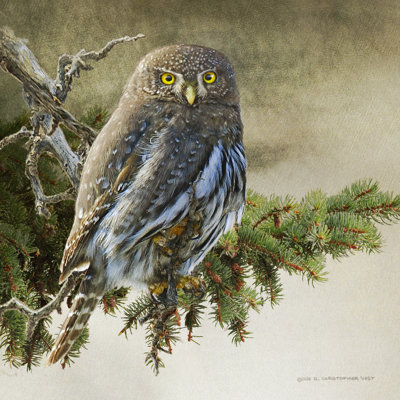 " On The Branch VI " by Chris Vest Painting Print