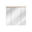 Fagan Flat Wall Mirror with Shelves