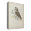 Petite chouette - impression sur toile tendue-1669904249