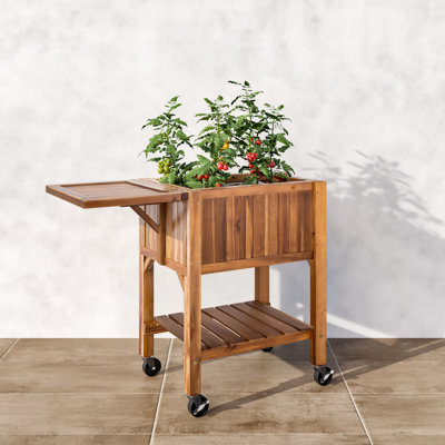 Acacia Wood Raised Garden Bed Planter Cart with Wheels