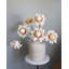 Protea Blush Waratah Bloom 31 po-2115729980-2115729981