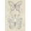 «Vintage Butterfly S croquis II» par June Erica Vess, reproduction d'art sur toile tendue