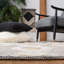 Tapis en laine / coton tissé à la main de style sud-ouest Vermont en ivoire / beige / gris-599627484