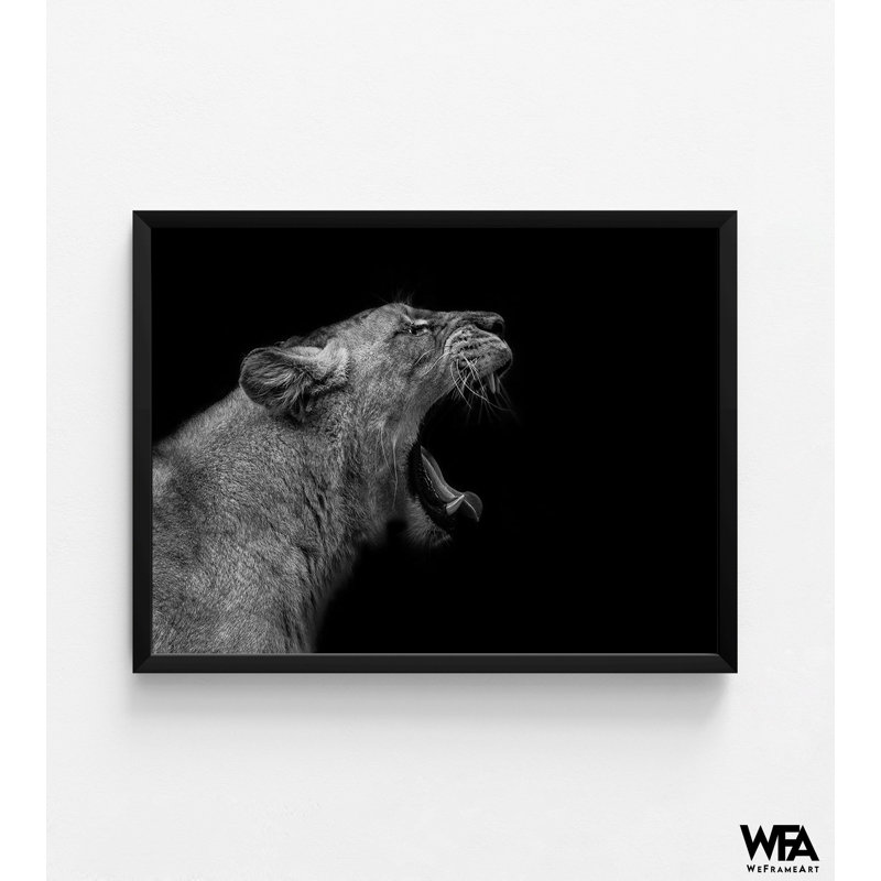 «Lionne In Low Key» par Nauzet Baez, Noir, Reproduction encadrée sans passe-partout, H 12 po x l 16 po
