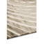 Chihuly River Shell Round Area Rug-29182983