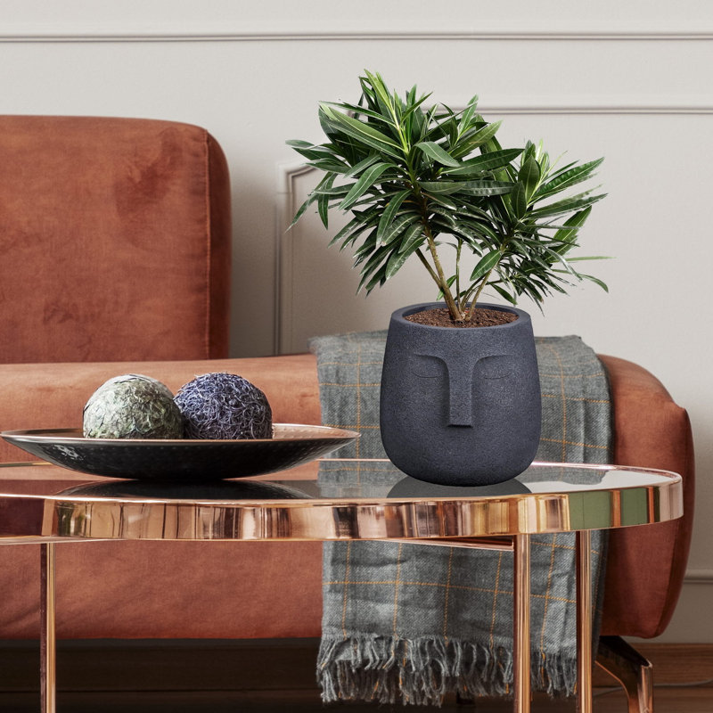 Textured Concrete Effect Face Oval Planter, 18.5cm H x 19cm W x 18cm D, Black