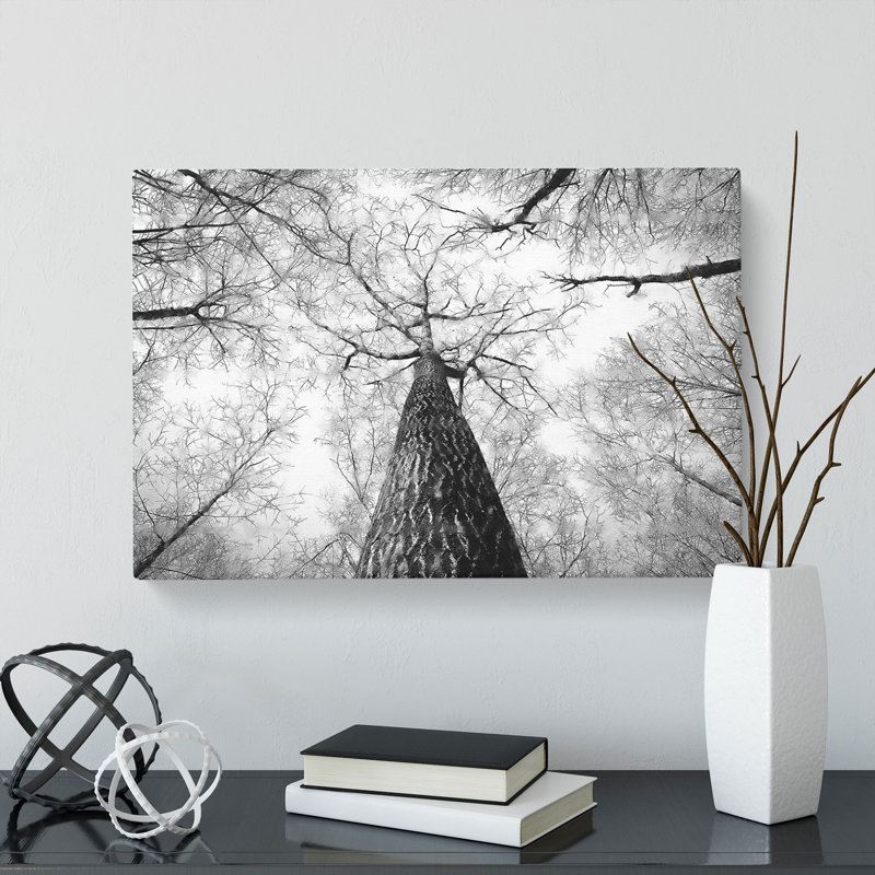 Below The Forest - Wrapped Canvas Print, 35cm H x 50cm W x 3cm D