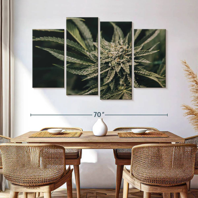 Plante de marijuana Senne, H 42 po x l 68 po