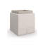 Bindi Solid Wood End Table